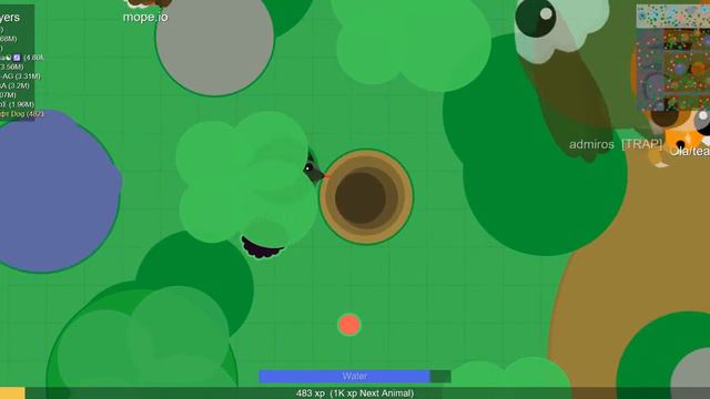 играем в море.io! смотреть онлайн