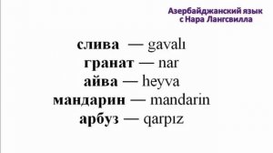 Азербайджанский язык с нуля самостоятельно  / Фрукты / Meyvələr /Azərbaycan dili