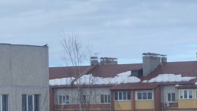 мои цветочки смотреть онлайн