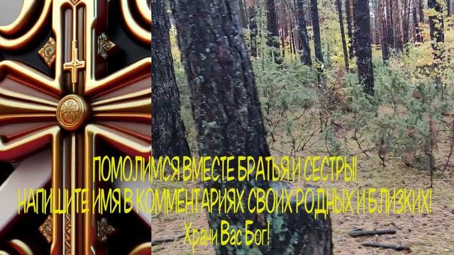 ЕСЛИ ПРОПУСТИШЬ ЭТУ МОЛИТВУ ПОТОМ НЕ ЖАЛЕЙ. Эта молитва помогла миллионам смотреть онлайн