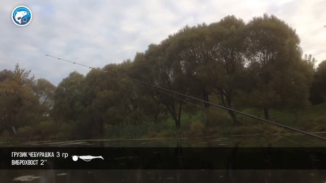 Fishingspace обзор спиннинга Mottomo Ligero смотреть онлайн