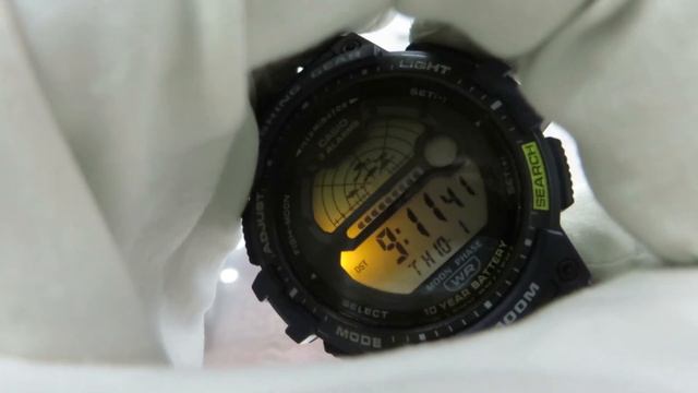 Casio WS-1200H-2AVEF