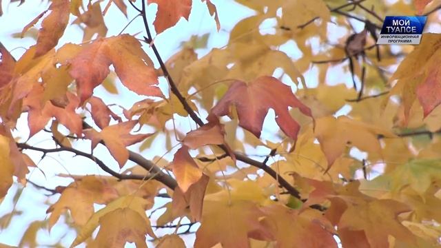 На Кубани проверяют точки торговли пиротехникой смотреть онлайн