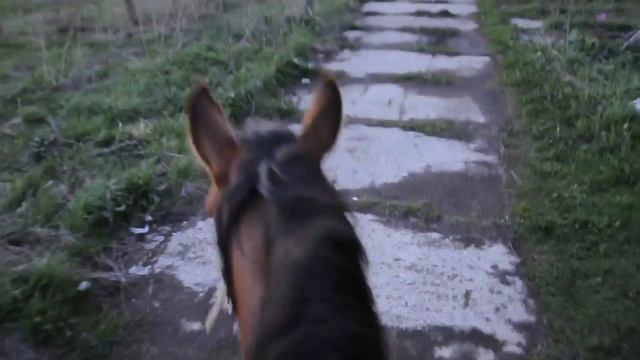 Капля, идём домой смотреть онлайн