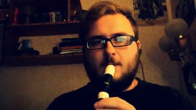 Станислав Жуковский - Drunken Sailor - irish song (blockflöte) смотреть онлайн