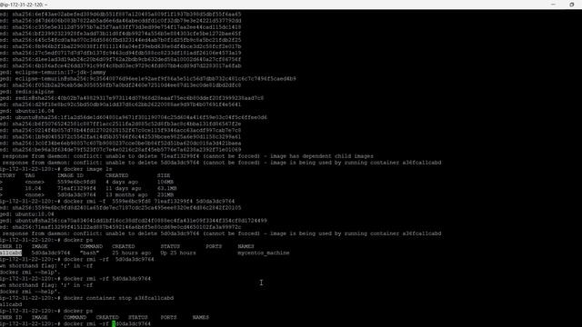 how to download docker images and how to execute #part 2 #devops,#docker , #devops engineer смотреть онлайн