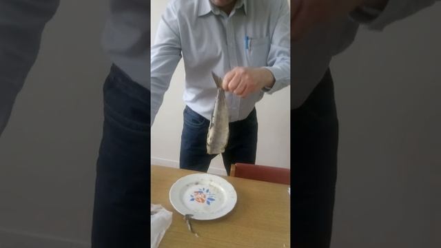 Селедка в филе без косточек Делает наш маэстро смотреть онлайн