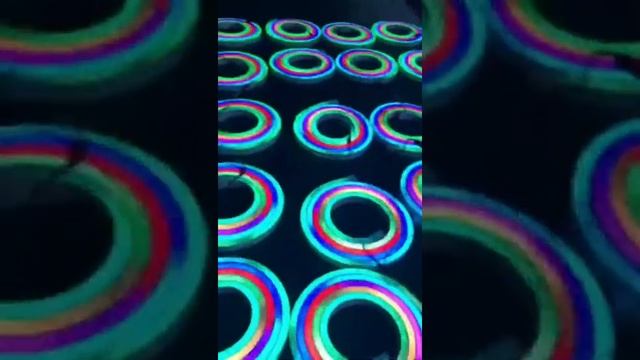 RGB RGBW 12V 24V WS2811 ws2812 addressable digital Neon flex LED Strip