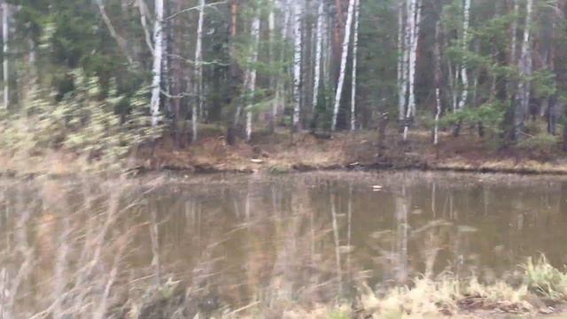 Белая полоса по ходу смотреть онлайн