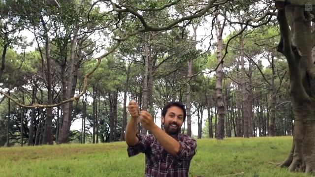 Возможно ли обогнать свет? смотреть онлайн