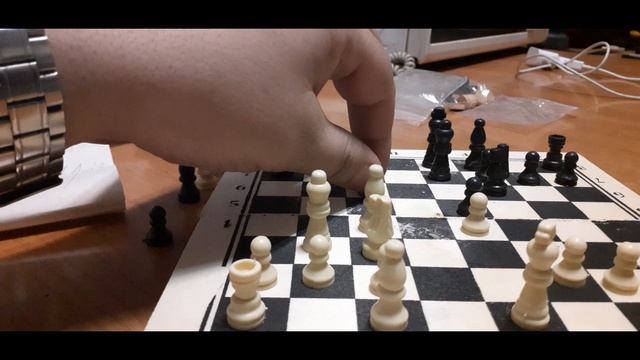 Шахматы партия