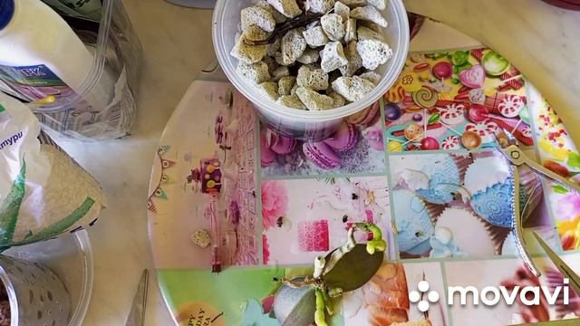 03.07. 2022г. ПЕРЕСАДКА АЗИАТКСКОЙ ОРХИДЕИ - СОГО ВИВЬЕН! смотреть онлайн