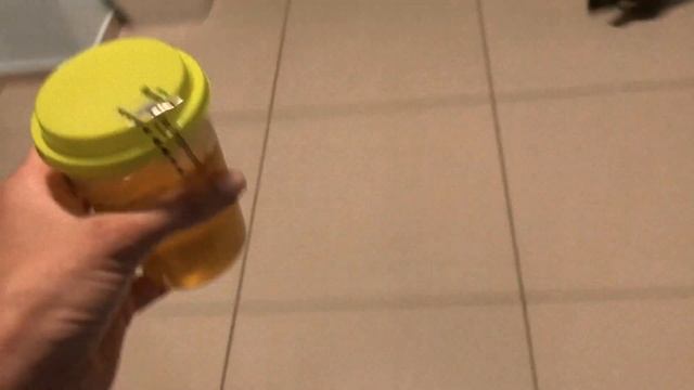 Мария Шурочкина: Кровавые дневники синхронистки – выпуск 2 смотреть онлайн