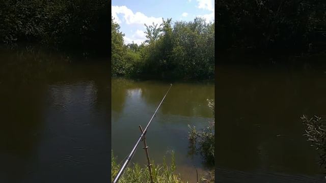 Рыбалка на Тёше смотреть онлайн