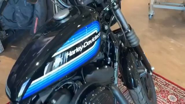 Iron 1200 Sportster Harley-Davidson 2019 смотреть онлайн