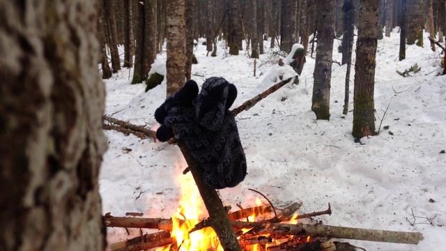 Хвоя / Needles смотреть онлайн