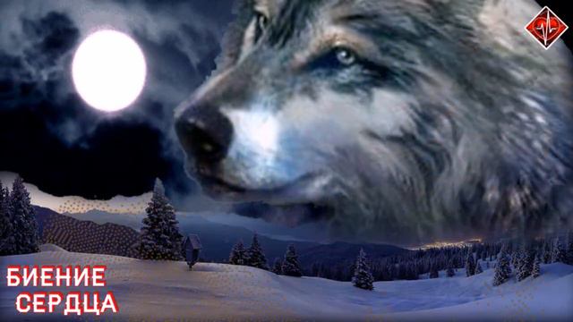 Сергей Мироненко - Волк- одиночка / Новинка 202/ БИЕНИЕ СЕРДЦА смотреть онлайн