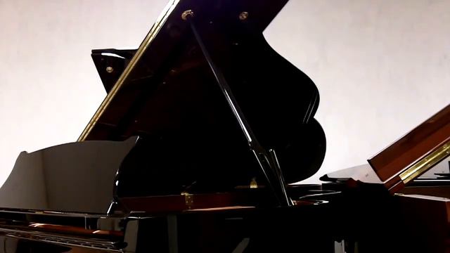 Brodmann PE 187 Grand Piano смотреть онлайн
