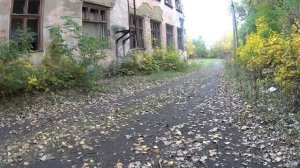 Заброшенная школа, поехали кататься в осень