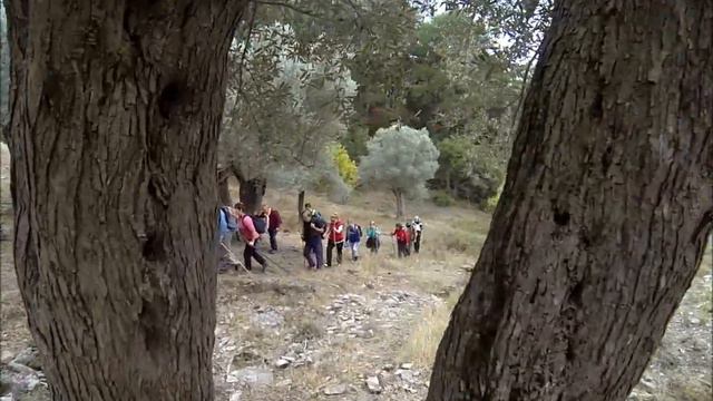 Gödence Doğa Yürüyüşü 26 Ekim 2014 смотреть онлайн