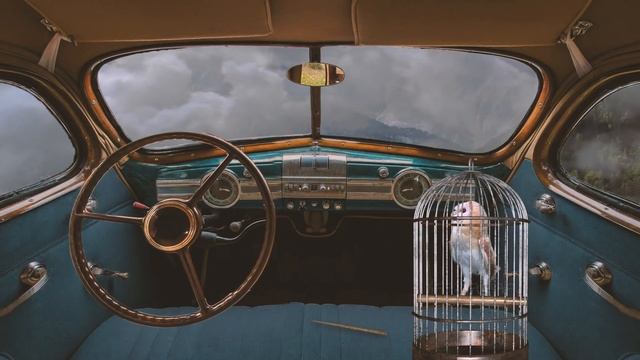 Flying Car ⋄ Weasley's Ford Anglia ⋄ ⚡Harry Ƥotter Ambience ⚡Engine Sounds & Magic [ASMR] смотреть онлайн