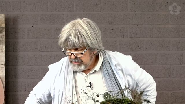 Flower Arrangement In Metal Frame With Bound Elements, By Gregor Lersch