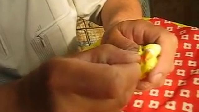 Искусственное кормление взрослого попугая. смотреть онлайн