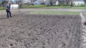 Посадка картофеля с использованием маркера