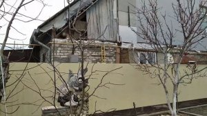 Отодвигаем цветение абрикоса, спасаясь от заморозков  Результат эксперимента