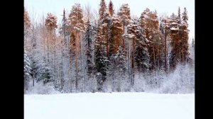 не губите деревья.....