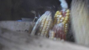 ПОЧАТКОДРОБИЛКА - Простая самодельная дробилка для початков кукурузы