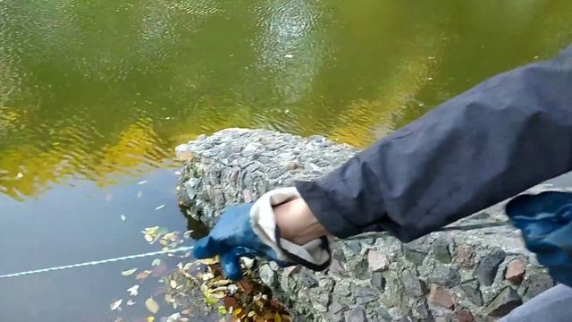 Зацеп в пруду и поисковый магнит смотреть онлайн