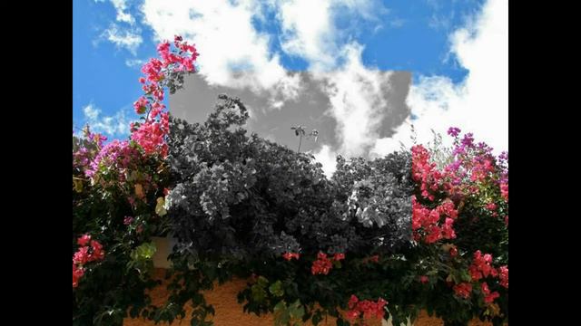 Vanessa Mae - Toccata And Fugue In D Minor. (composite Video MAGIC GARDEN)
