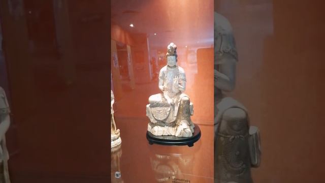 Китайское красивое. "Люди моря" в Светлогорске смотреть онлайн