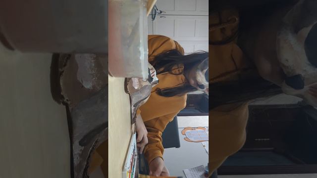маска сервала, доделаваю ее♡ смотреть онлайн
