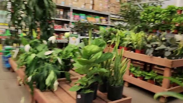 Lowe's | Home Depot | Walmart смотреть онлайн