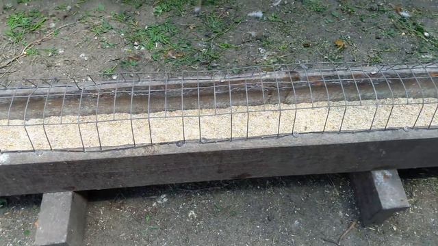 ВАМ НЕ ВЕРИТСЯ??? ДА? тогда СМОТРИТЕ....Эти породы кур прекрасно живут в УКРАИНЕ. смотреть онлайн