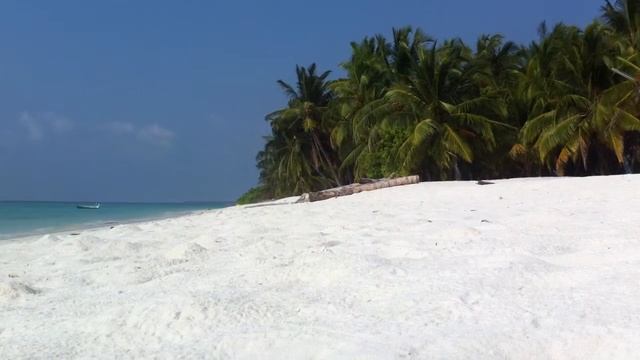 Hanimaadhoo beach - Hanimaadhoo Maldives смотреть онлайн