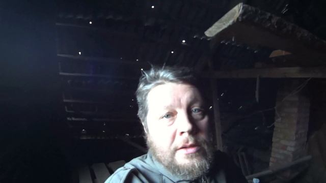 Народное Средство от Ожогов. Разворошим Осиное Гнездо! смотреть онлайн