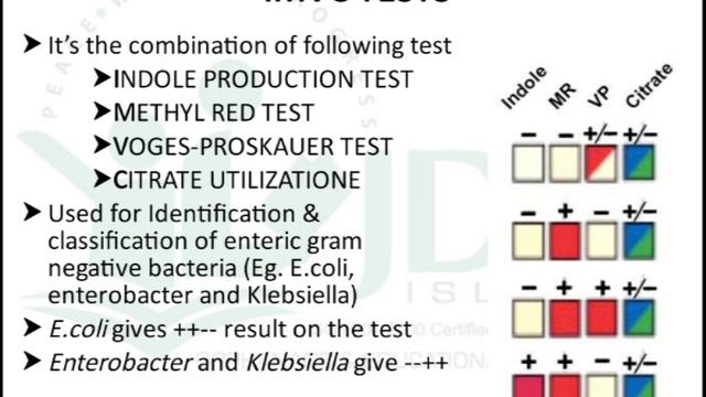 Identification of Bacteria Part 2: Biochemical identification methods смотреть онлайн