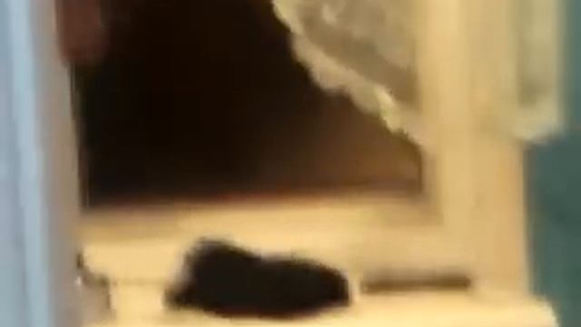 белые сапожки смотреть онлайн