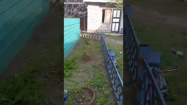 Обновление глушителя и крышки генератора на мопеда альфа смотреть онлайн