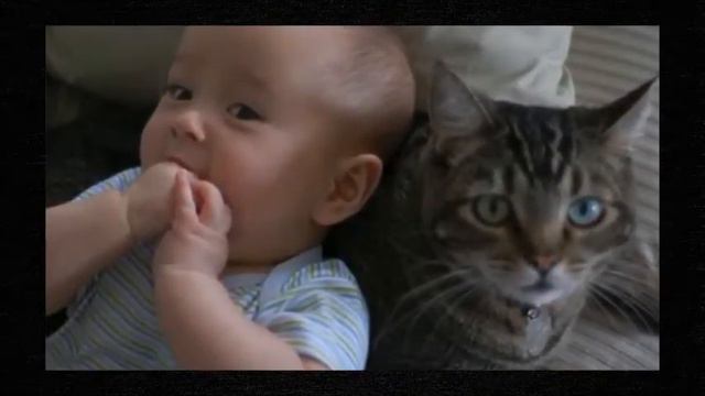 Кошки и маленькие человеки смотреть онлайн