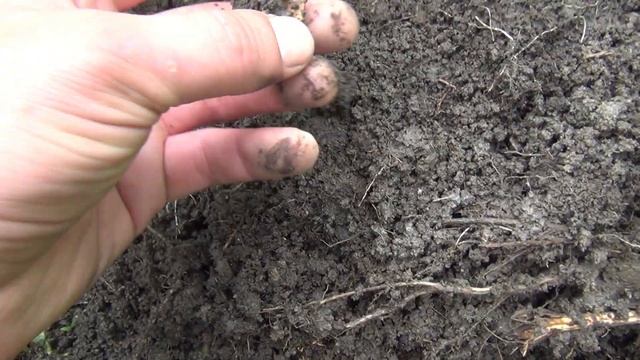 ЭТО КАПЕЦ!!! ГДЕ НАХОДКИ!!! Снова пустой. ПРИМОРСКИЙ КРАЙ. КОП 2020. смотреть онлайн