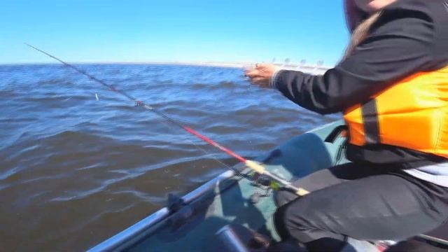 РЫБАЛКА НА СУДАКА И ОКУНЯ У СТВОРОВ ФИНСКОГО ЗАЛИВА С ЛОДКИ. ОБКАТКА МОТОРА TOYAMA TC 3.6 BMS 2023 смотреть онлайн
