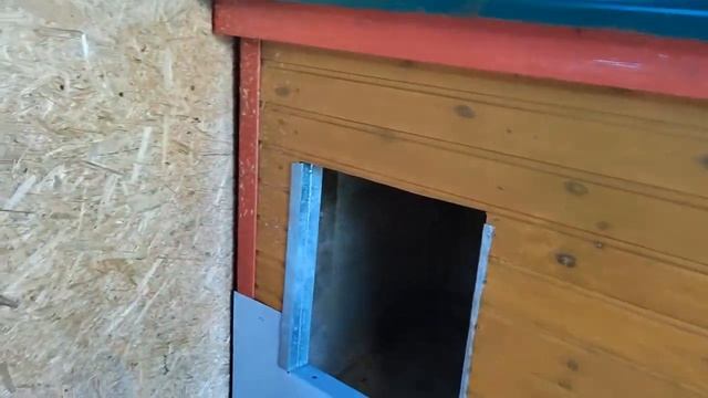 АМЕРИКАНСКАЯ АКИТА!!! Собачья жизнь !! #американскаяакита #акита #собака #акитомания смотреть онлайн