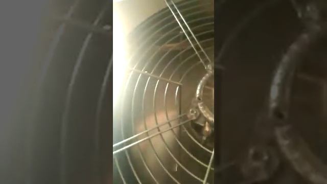 Сушильно-вялочная камера Швс-1. смотреть онлайн