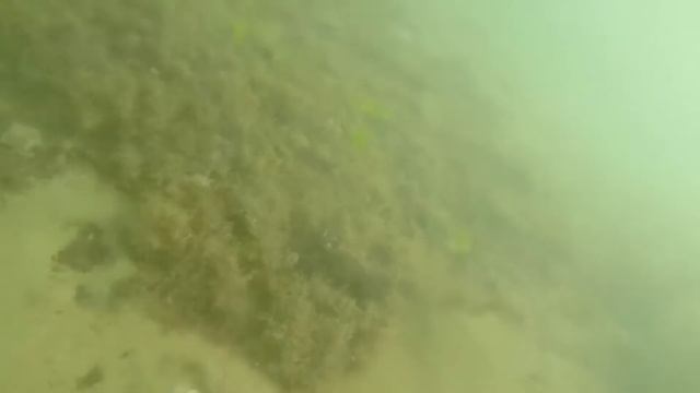 ???ПОДВОДНЫЙ ПОИСК ЗОЛОТА Как он есть смотреть онлайн