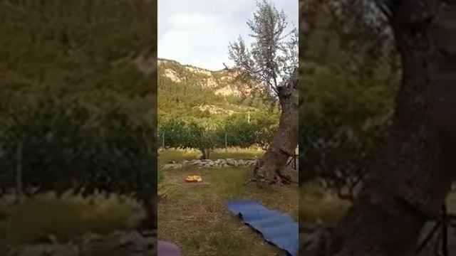 Concierto Mantra/Kirtan en Valldemosa 15/05/2021 смотреть онлайн