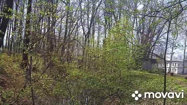 Путешествия по Нижегородской области - Галибиха (Усадьба Ливашёвых) и святое озеро Светлояр! смотреть онлайн